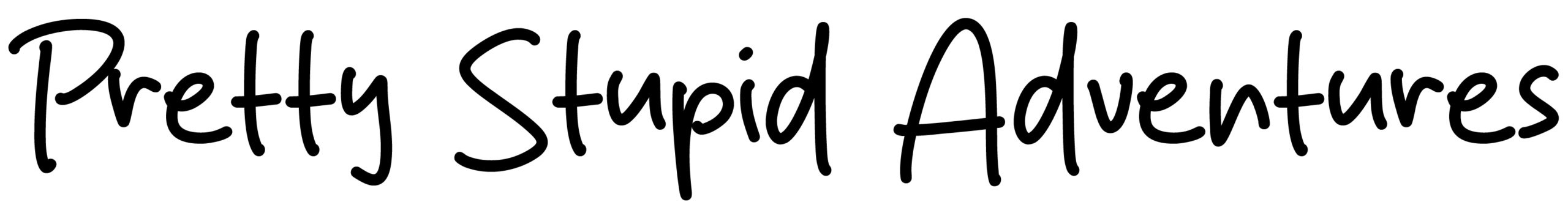 prettystupidadventures.com
